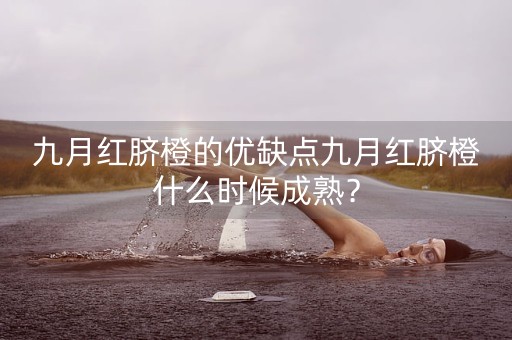 九月红脐橙的优缺点九月红脐橙什么时候成熟？-第1张图片-女性汇