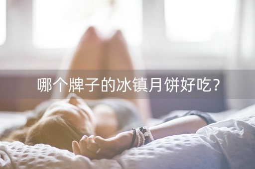 哪个牌子的冰镇月饼好吃？-第1张图片-女性汇