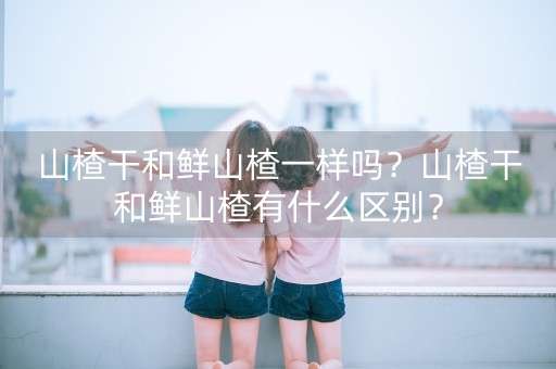 山楂干和鲜山楂一样吗？山楂干和鲜山楂有什么区别？-第1张图片-女性汇