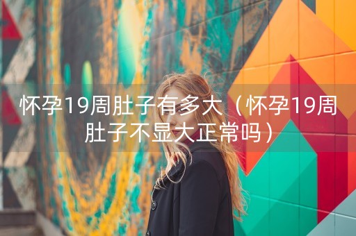 怀孕19周肚子有多大（怀孕19周肚子不显大正常吗）-第1张图片-女性汇