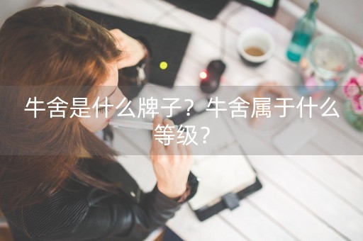 牛舍是什么牌子？牛舍属于什么等级？-第1张图片-女性汇