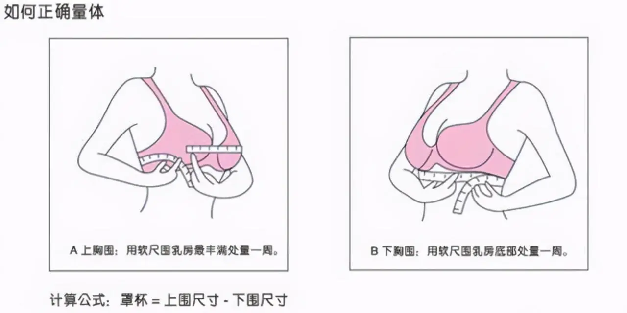 女生胸围罩杯尺寸图解（女生胸围等级划分对照表）-第1张图片-女性汇